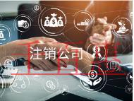 海南注銷公司需要多少錢？流程是什么？