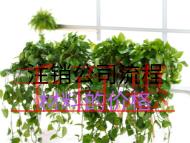 注銷公司流程材料的價(jià)格