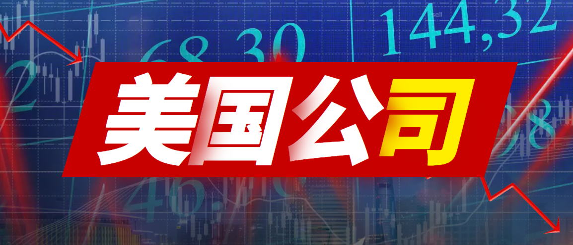 如何選擇美國公司注冊的類型？有什么要求？