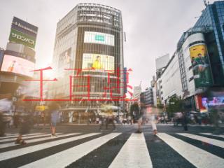 契稅、土地增值稅計稅依據該不該包含增值稅? 契稅、土地增值稅計稅依據該不該包含增值稅?