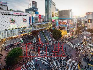 海南個人所得稅優惠政策 海南個人所得稅優惠政策