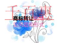 商標變更的商標轉讓的常見問題?流程是什么? 商標變更的商標轉讓的常見問題?流程是什么?