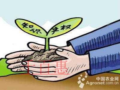 2019年中央一號(hào)文件:加強(qiáng)農(nóng)業(yè)領(lǐng)域知識(shí)產(chǎn)權(quán)創(chuàng)造與 2019年中央一號(hào)文件:加強(qiáng)農(nóng)業(yè)領(lǐng)域知識(shí)產(chǎn)權(quán)創(chuàng)造與